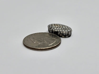 Snake skin agate cabochon
