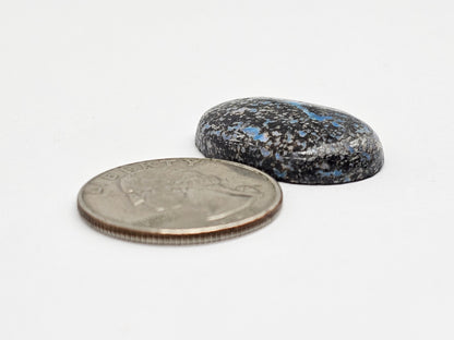 Rare Mexican Leopard Opal Cabochon