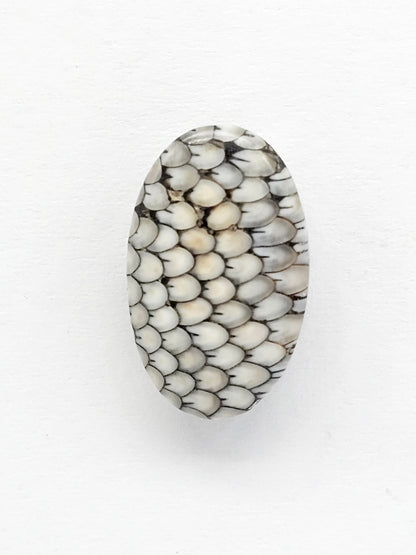 Snake skin agate cabochon