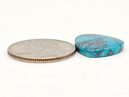 Cloud mountain Turquoise | Artisan Cut Gemstone