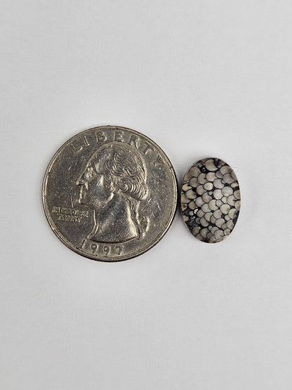 Snake skin agate cabochon