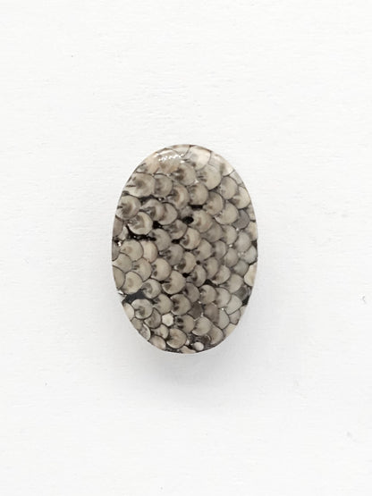 Snake skin agate cabochon