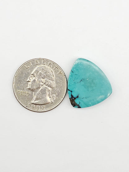 Cloud mountain Turquoise | Artisan Cut Gemstone