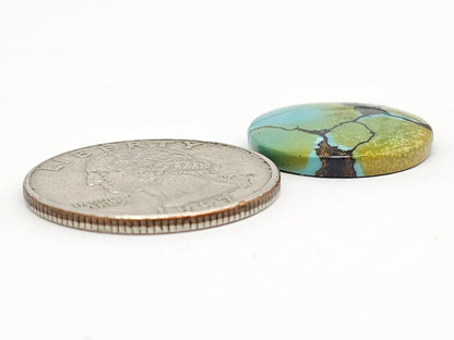 Cloud mountain Turquoise | Artisan Cut Gemstone