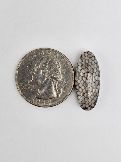 Snake skin agate cabochon