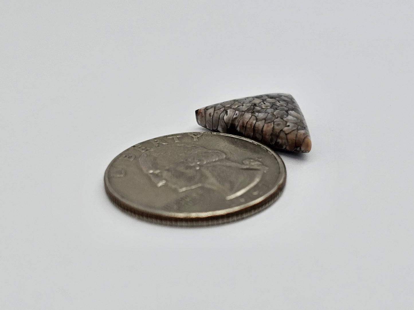 Snake skin agate cabochon