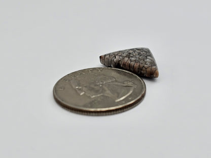 Snake skin agate cabochon