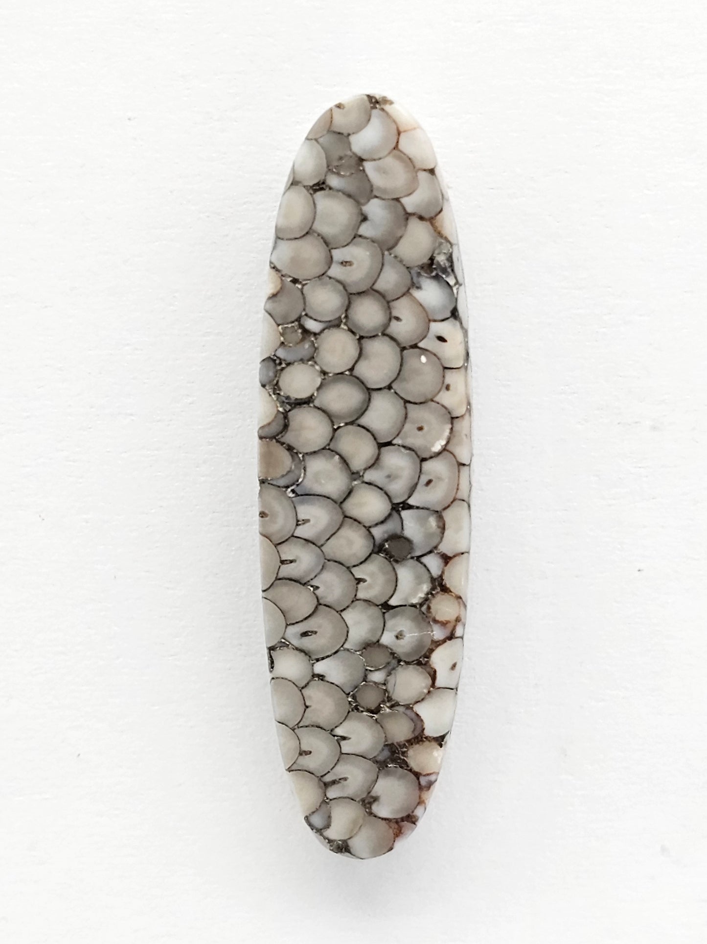 Snake skin agate cabochon
