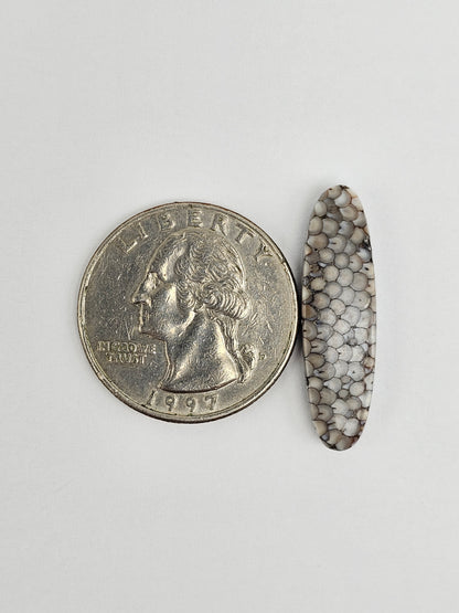 Snake skin agate cabochon