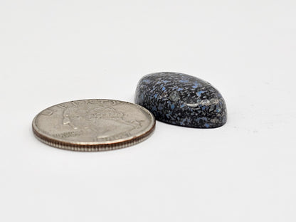 Rare Mexican Leopard Opal Cabochon