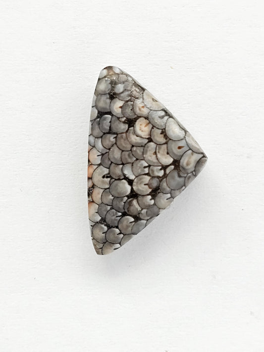 Snake skin agate cabochon
