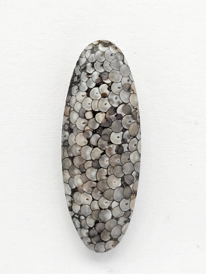 Snake skin agate cabochon