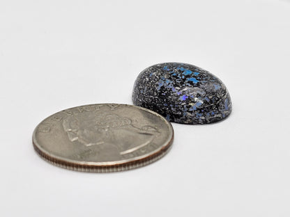 Rare Mexican Leopard Opal Cabochon