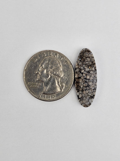 Snake skin agate cabochon