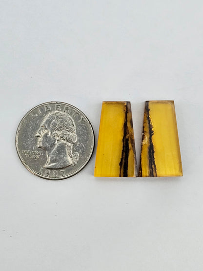 Amber authentic cabochon pair large