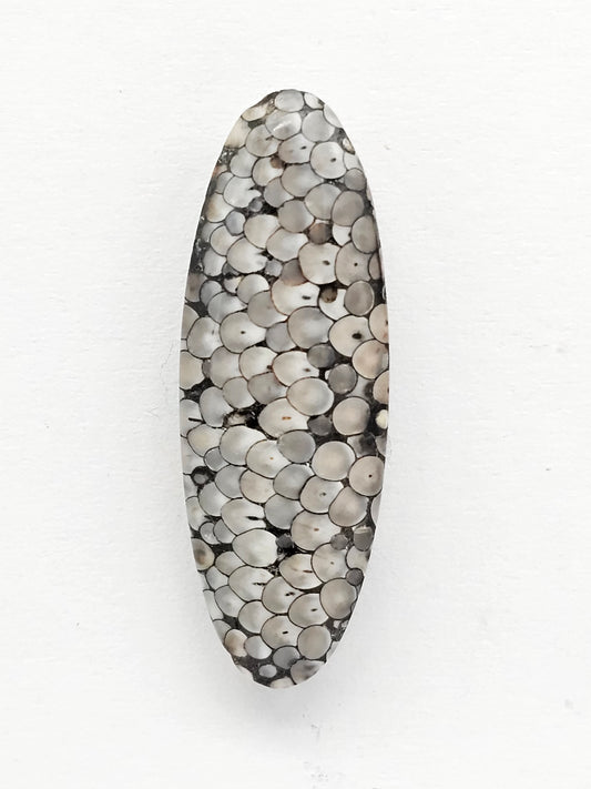Snake skin agate cabochon