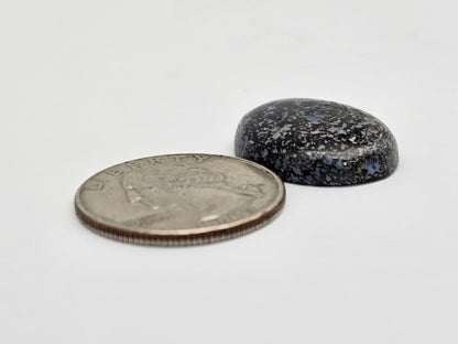 Rare Mexican Leopard Opal Cabochon