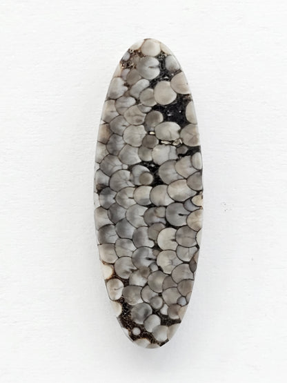 Snake skin agate cabochon
