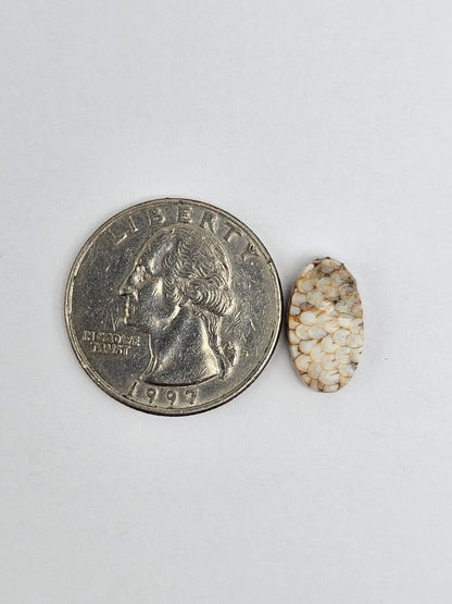 Snake skin agate cabochon