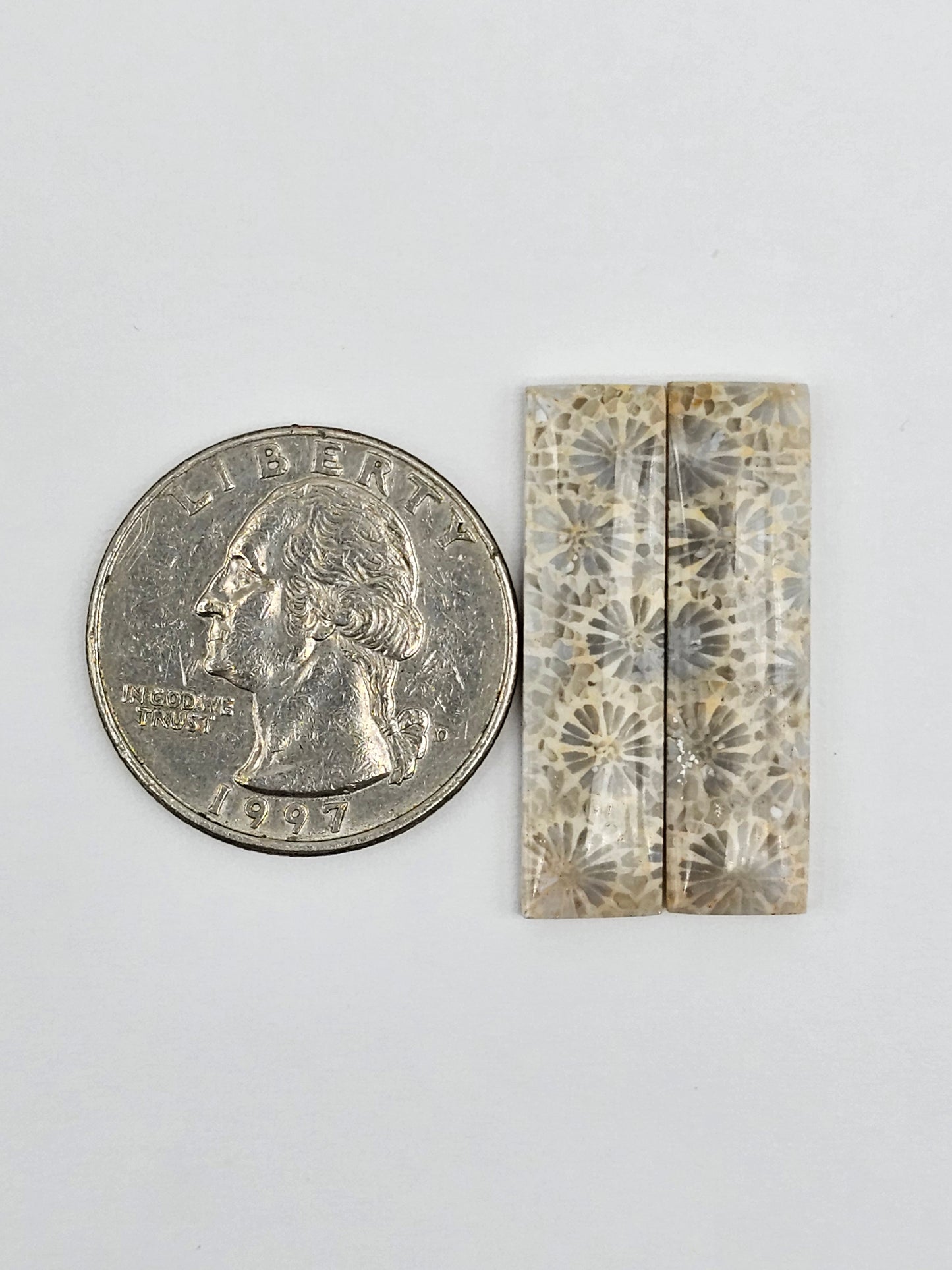 Fossilized Coral Agate Pair