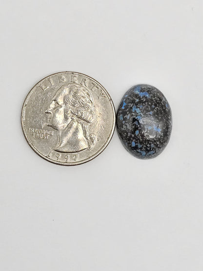 Rare Mexican Leopard Opal Cabochon
