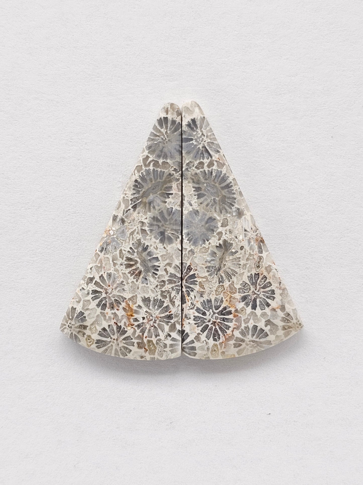 Fossilized Coral Agate Pair