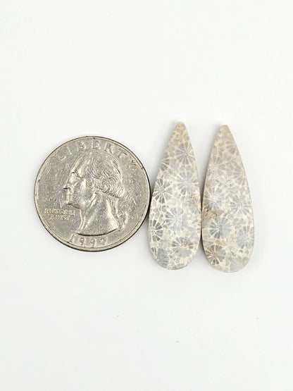 Fossilized Coral Agate Pair