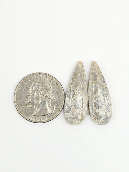 Fossilized Coral Agate Pair
