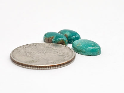 Mexican Turquoise Cabochon Set | Artisan Cut Gemstone