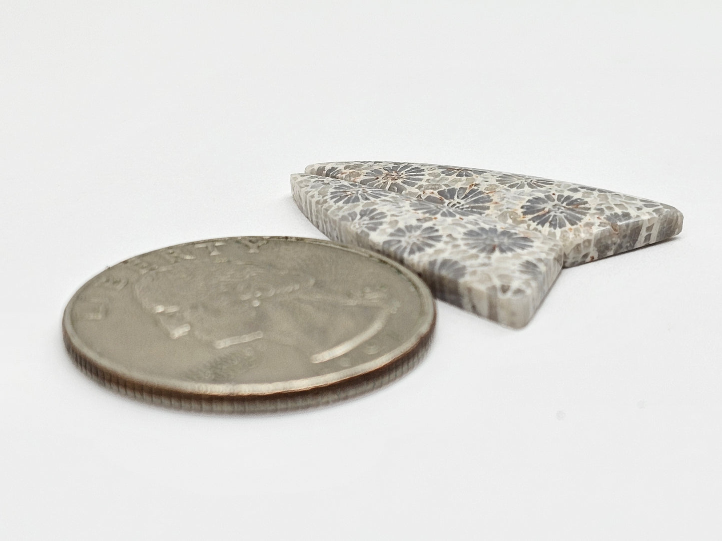 Fossilized Coral Agate Pair