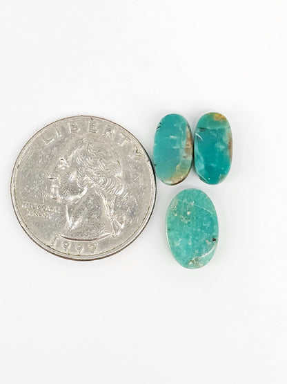 Mexican Turquoise Cabochon Set | Artisan Cut Gemstone