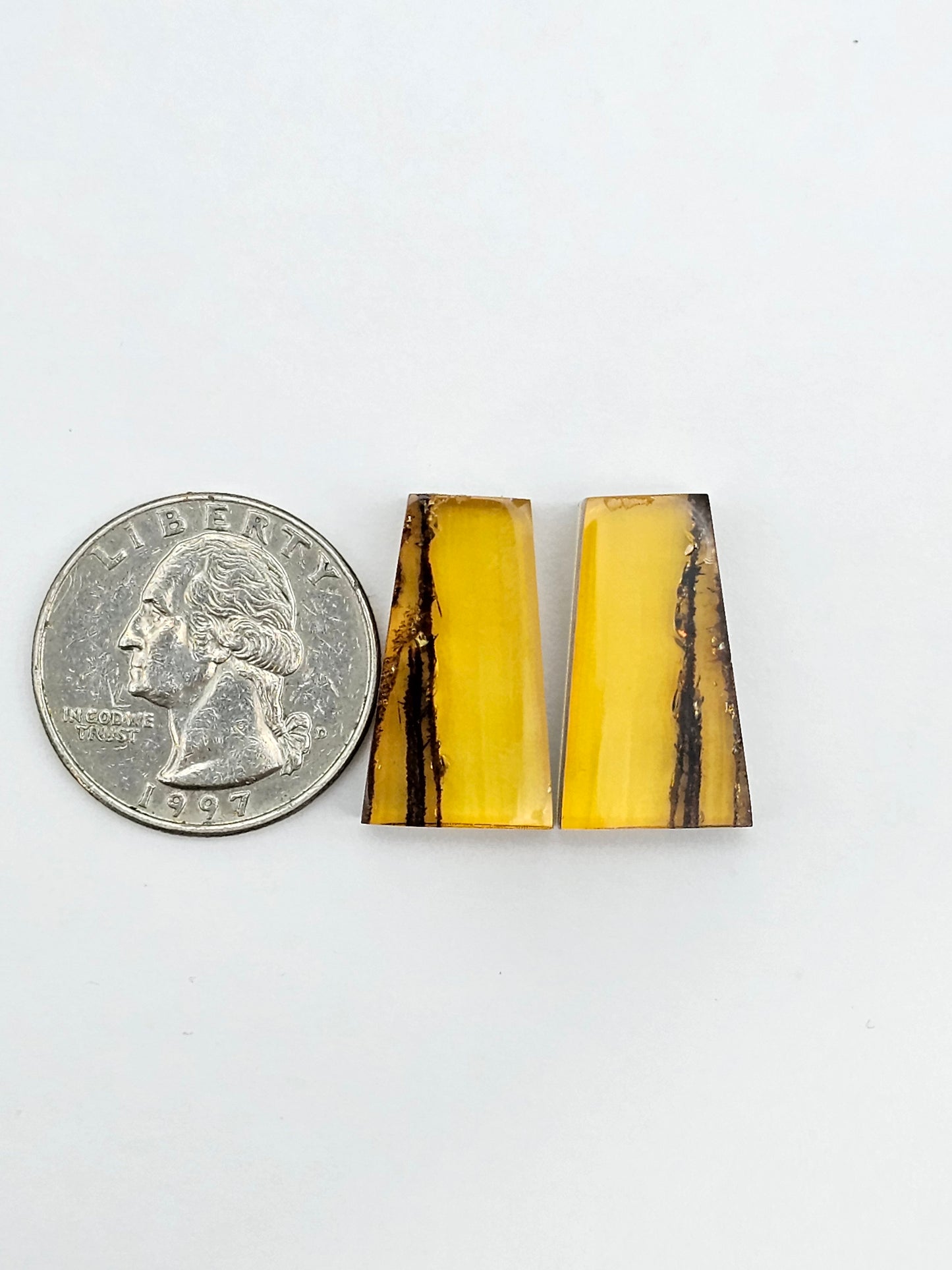 Amber authentic cabochon pair large