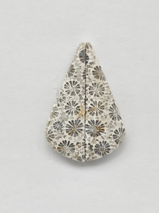 Fossilized Coral Agate Pair