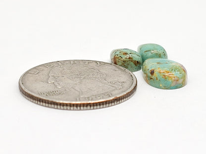 Mexican Turquoise Cabochon Set | Artisan Cut Gemstone