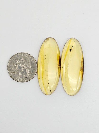 Amber authentic cabochon pair large