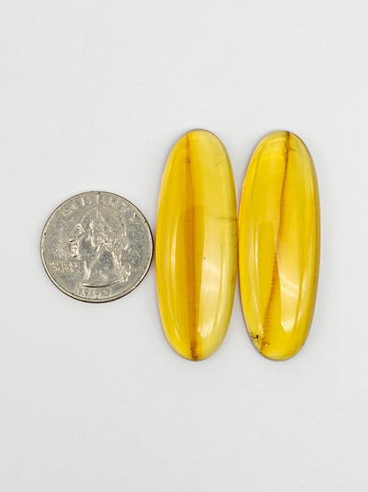 Amber authentic cabochon pair large