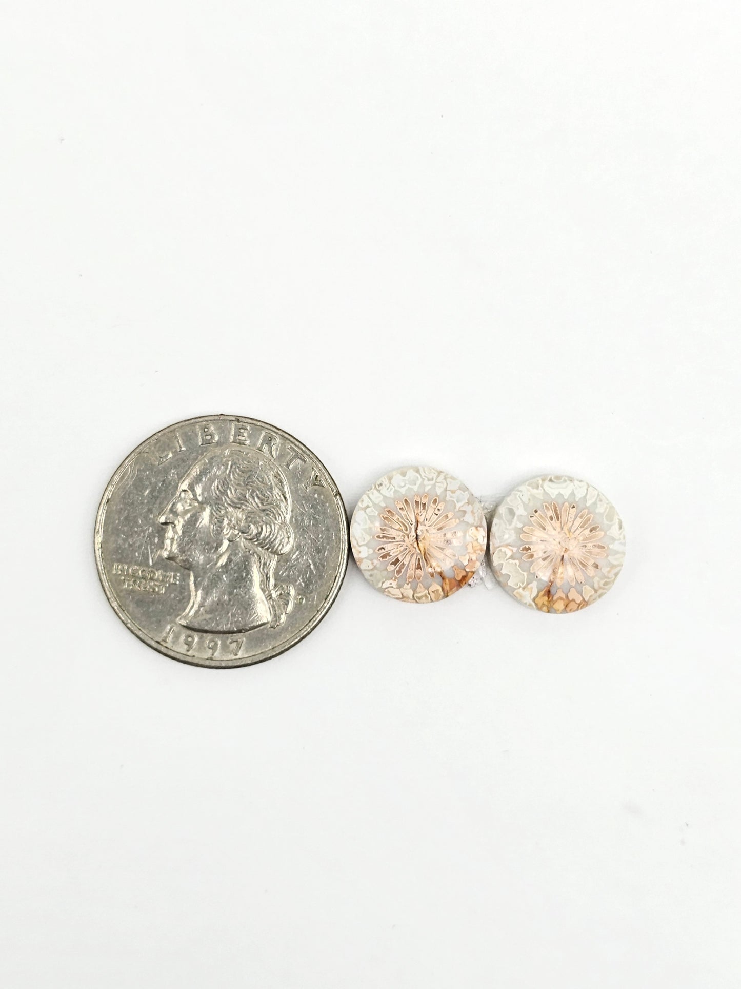 Fossilized Coral Agate Pair
