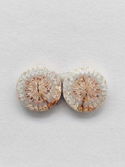 Fossilized Coral Agate Pair