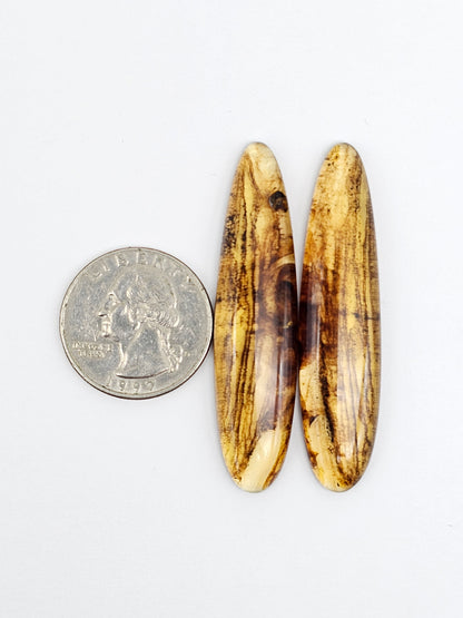 Amber authentic cabochon pair large