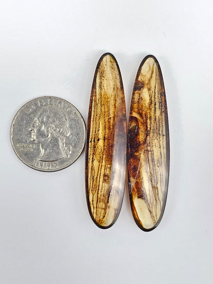 Amber authentic cabochon pair large