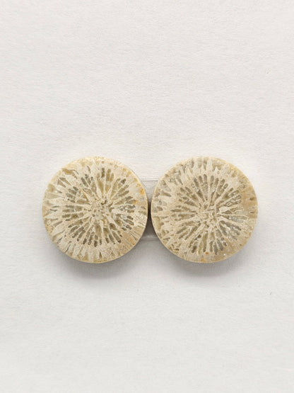 Fossilized Coral Agate Pair