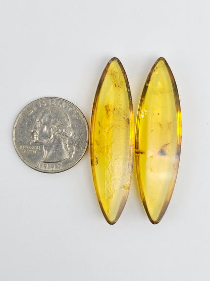 Amber authentic cabochon pair large
