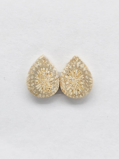 Fossilized Coral Agate Pair