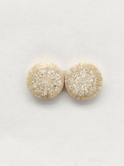 Fossilized Coral Agate Pair