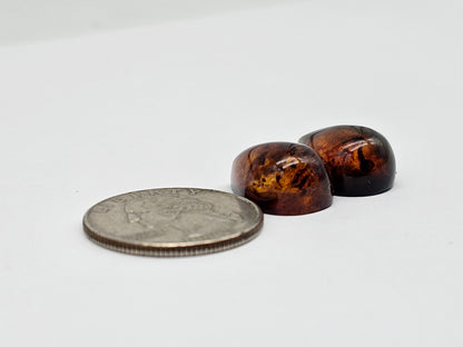 Red Amber Authentic Cabochon Pair