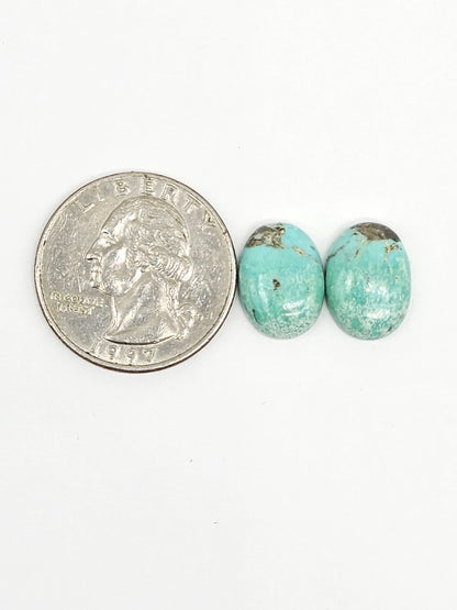Mexican Turquoise Cabochon Pair | Artisan Cut Gemstone