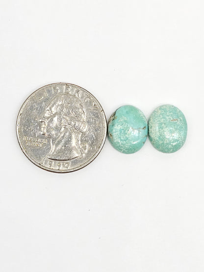 Mexican Turquoise Cabochon Pair | Artisan Cut Gemstone