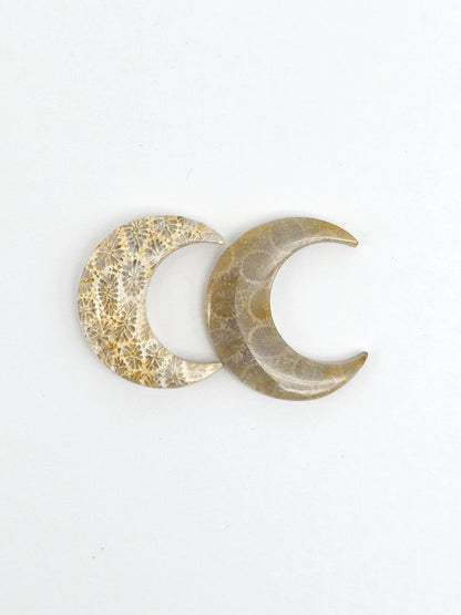 Fossilized Coral Moon Set
