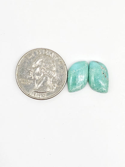 Mexican Turquoise Cabochon Pair | Artisan Cut Gemstone