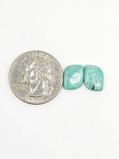 Mexican Turquoise Cabochon Pair | Artisan Cut Gemstone